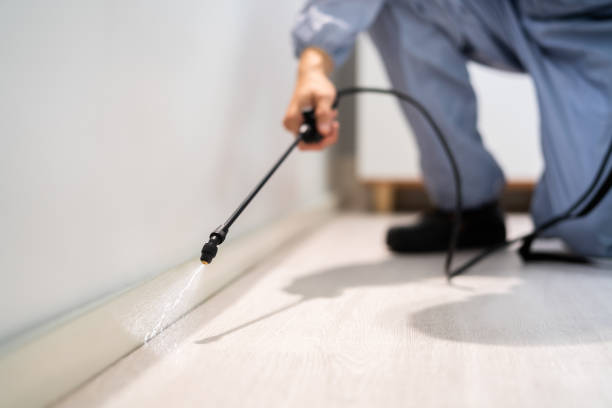 Licensed Wasp Control service in St. Louis Park, MN - Nex Pest Control