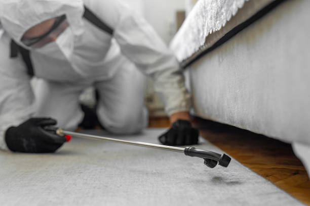Professional Wasp Control technician working in St. Louis Park, MN