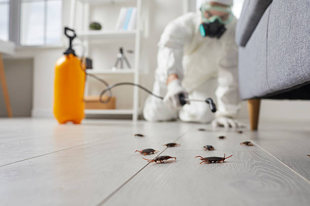 Trusted Rodent Control service in St. Louis Park, MN - Nex Pest Control
