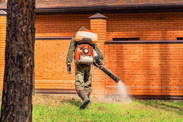 Trusted Termite Control service in St. Louis Park, MN - Nex Pest Control